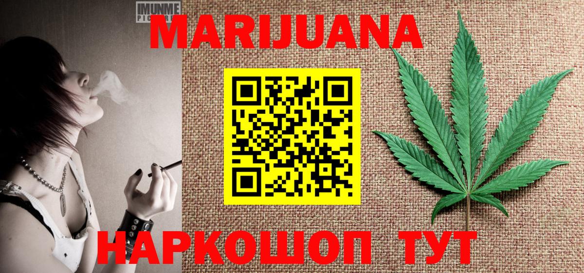 Каннабис сатива Кашира